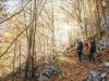 Bild 38