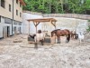 Bild 28 - Ude