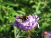 Image 16