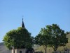 Bilde 7
