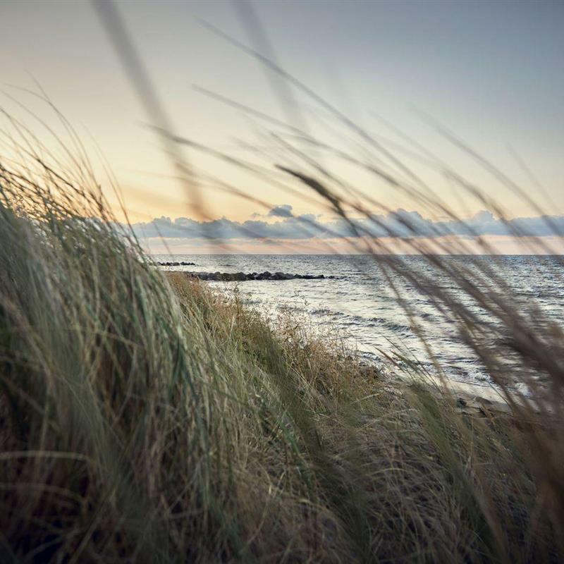 Sommerhus - 6 personer -  - Fehmarnsund - 23769 - Fehmarn