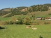 Bild 16