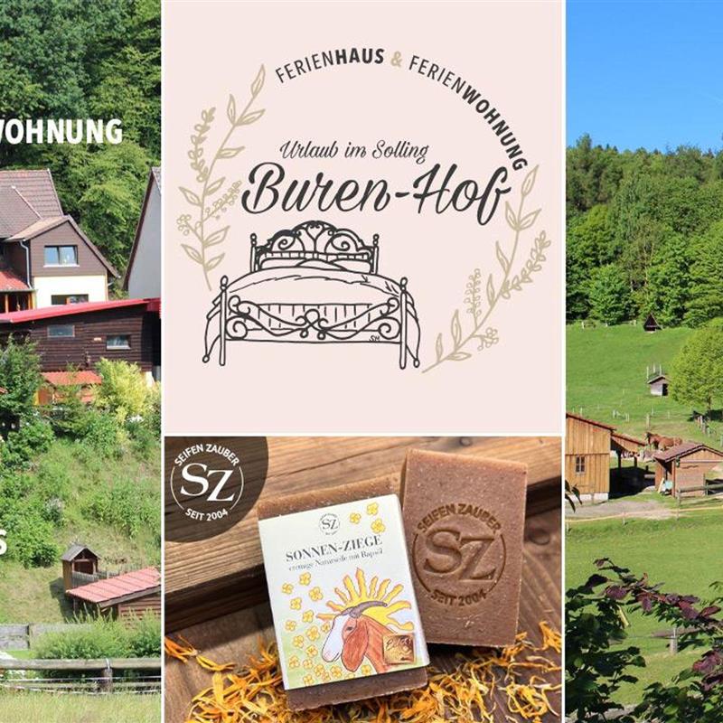 Sommerhus - 2 personer -  - Lange Str. - 37194 - Bodenfelde