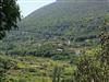 Image 29