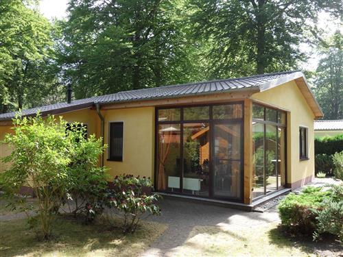 Feriecenter - 4 personer -  - Haus - 18181 - Seeheilbad Graal-Müritz