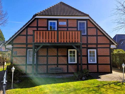 Ferieleilighet - 4 personer -  - Birkenstrasse - 18374 - Seeheilbad Zingst