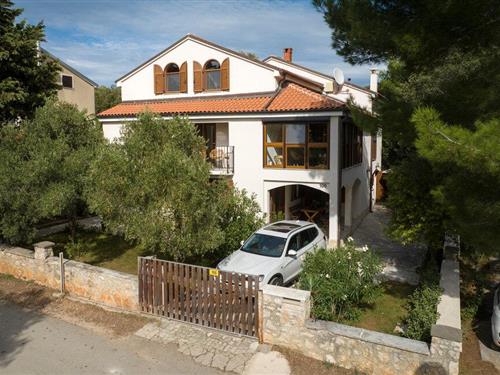 Holiday apartment - 3 persons -  - Artatore - Losinj-Mali Losinj - 51550 - Mali Losinj
