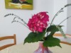 Bild 28