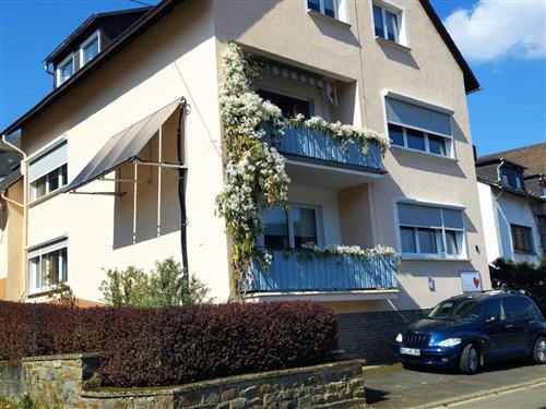 Holiday apartment - 8 persons -  - Schulstraße - 56861 - Reil