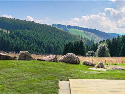 Semesterhus/Semesterlägenhet - 4 personer -  - Am Elfentor - Hasselfelde Im Harz - 38899 - Oberharz Am Brocken