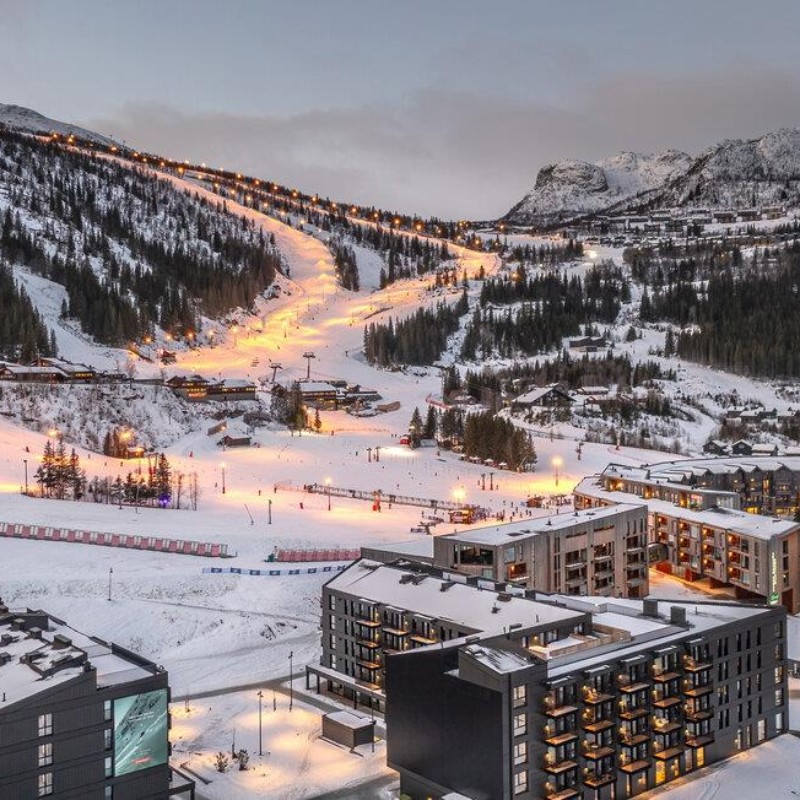 Ferielejlighed - 6 personer -  - Holleskardvegen 21 5 apart. - 3560 - Hemsedal