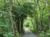 Bild 17