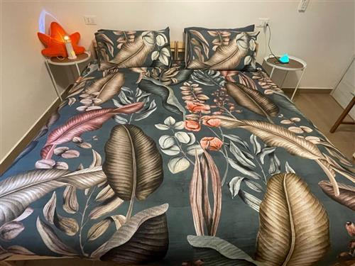 Ferieleilighet - 4 personer -  - Rimini - 47921