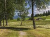 Billede 17