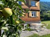 Bild 22