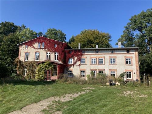 Semesterhus/Semesterlägenhet - 4 personer -  - Alt Krassow - 18279 - Lalendorf Ot Alt-Krassow