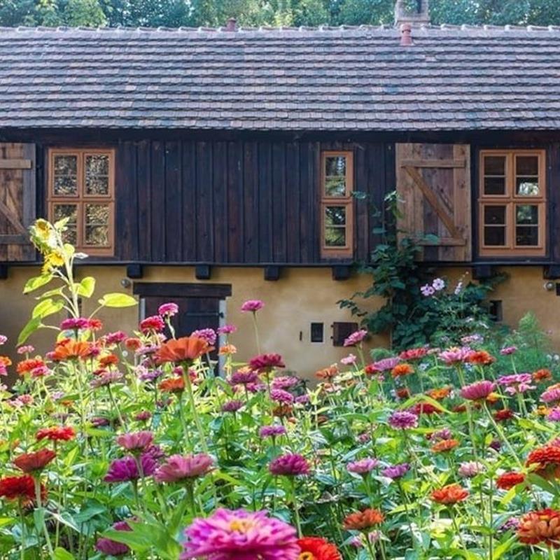 Ferielejlighed - 2 personer -  - Schönefelder Chaussee - 14947 - Nuthe-Urstromtal