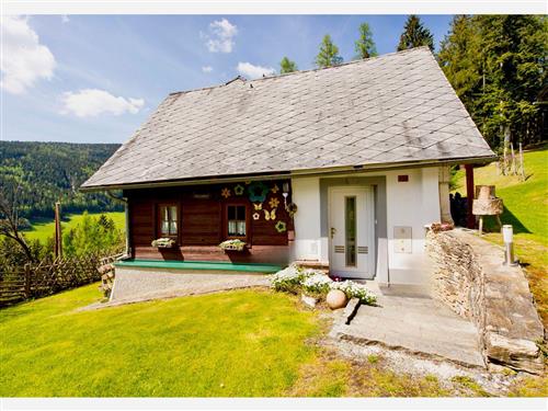 Fritidshus - 4 personer -  - Schrems - 8163 - Fladnitz An Der Teichalm