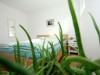 Bild 17