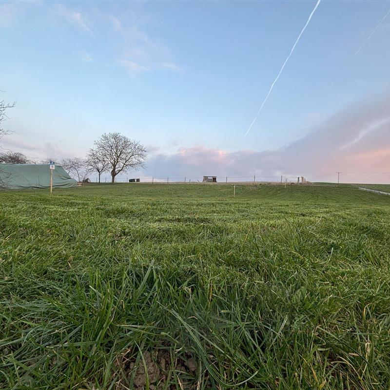 Ferielejlighed - 3 personer -  - Fronhofen - 54483 - Kleinich