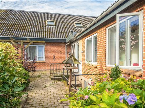 Sommerhus - 14 personer -  - Bredgade - Guldforhoved - 7441 - Bording