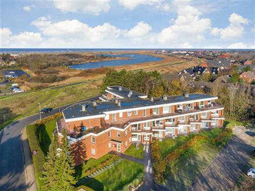 Feriehus / leilighet - 3 personer -  - Am Deich - 25826 - St. Peter-Ording