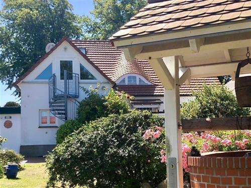 Ferielejlighed - 2 personer -  - Schmiedestr.15 - 18347 - Wustrow