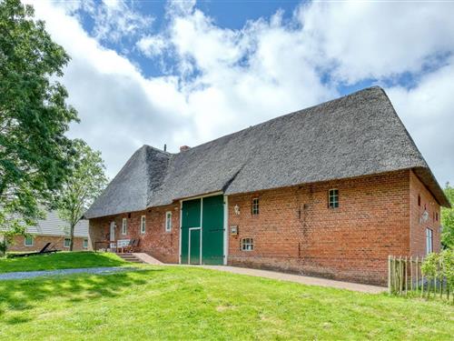 Sommerhus - 4 personer -  - Süderwaygaard - 25899 - Dagebüll