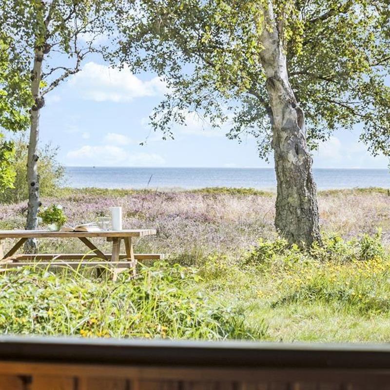 Sommerhus - 5 personer -  - Maarup Skov - Maarup Skov - 8305 - Samsø