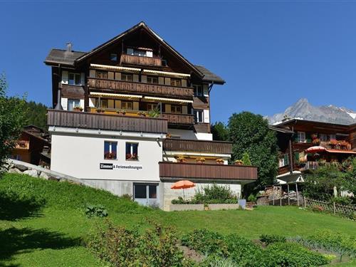 Semesterhus/Semesterlägenhet - 4 personer -  - Spillstattrasse - 3818 - Grindelwald