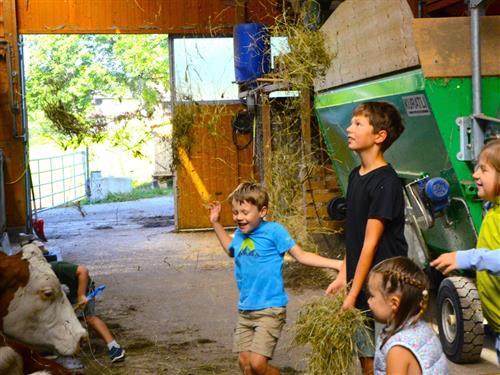 Bondegård - 6 personer -  - Leiten - 8972 - Ramsau Am Dachstein