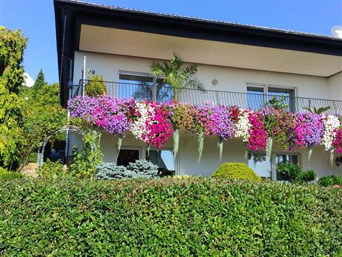 Semesterlägenhet - 2 personer -  - Gartenstr. - 55444 - Schöneberg