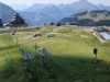 Bild 33