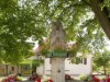 Bild 19