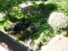 Bilde 2