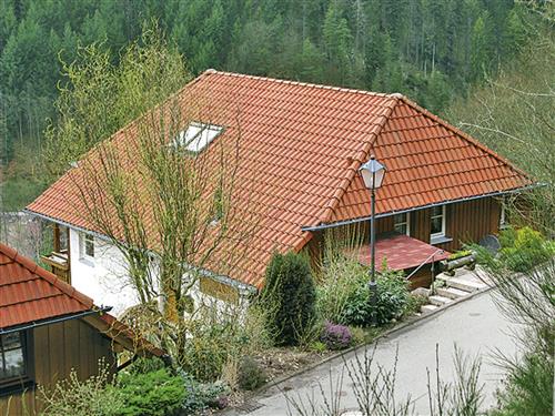 Feriehus - 6 personer -  - Hornberg - 78132