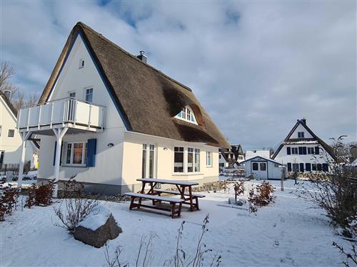 Holiday Home/Apartment - 7 persons -  - Urlaub für 6 Personen, 3 Schlafräume, Sauna, Kamin - 18230 - Rerik