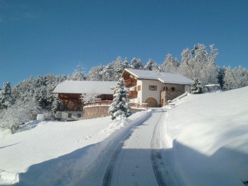 Holiday apartment - 5 persons -  - 39040 - Aldein (Aldino)