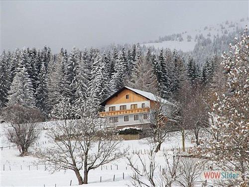 Semesterhus/Semesterlägenhet - 4 personer -  - Pöllau am Greim - 8843 - Sankt Peter Am Kammersber