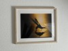 Bild 71
