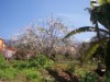 Image 18 - Outside