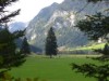 Bilde 54