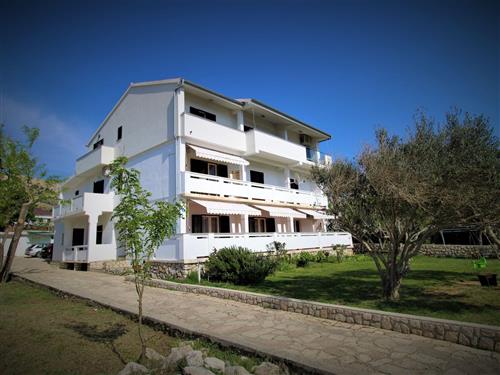 Holiday apartment - 2 persons -  - Ulica bana Josipa Jelacica - 23250 - Pag