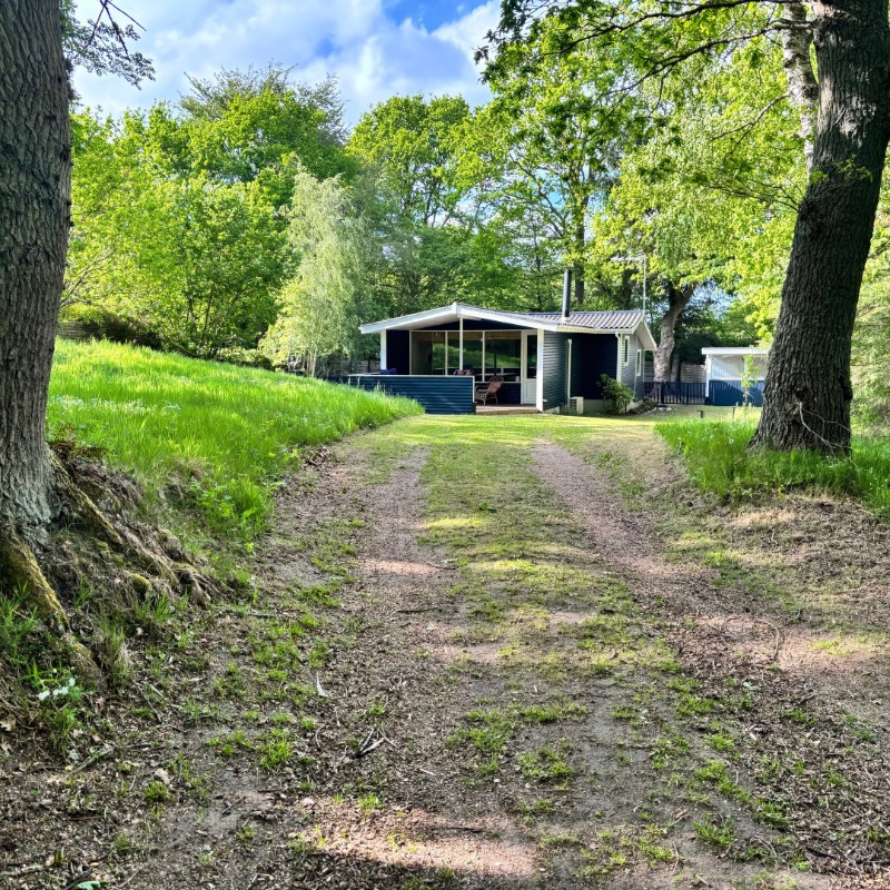 Ferienhaus - 8 Personen -  - Granvej - 8585 - Glesborg