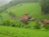 Afbeelding 6