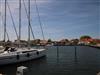 Billede 29