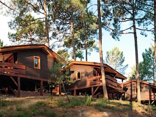 Semesterlägenhet - 3 personer -  - 33121 - Carcans-Maubuisson