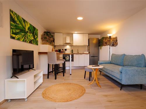 Ferielejlighed - 2 personer -  - Calle los Cardones - 35489 - Agaete