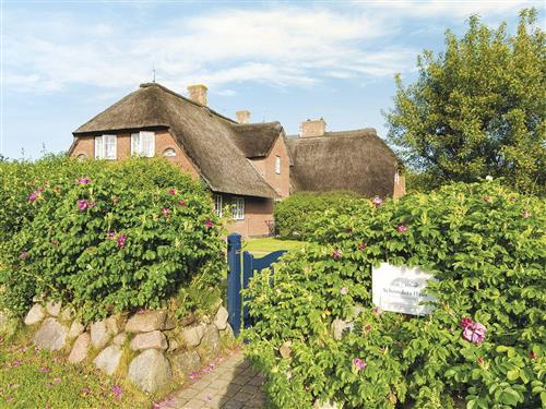 Ferienhaus - 5 Personen -  - Hans Hansen Wai - 25999 - Kampen Auf Sylt