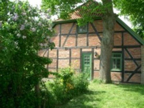 Ferieleilighet - 4 personer -  - Dorfstraße - 18249 - Warnow / Buchenhof